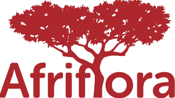 Afriflora