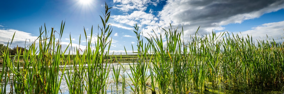 Waterschap Brabantse Delta SDG-Challenge Spring 2026