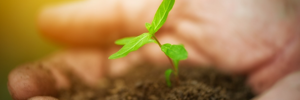 Bayer SDG-Challenge Spring 2026