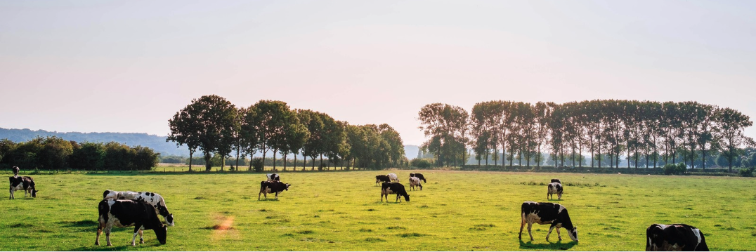 Friesland Campina SDG-Challenge