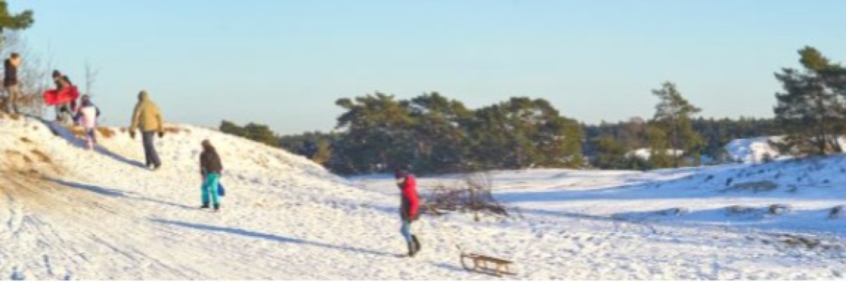 Province of Gelderland SDG-Challenge Spring 2026